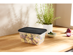SILVERCREST® Food Storage Container with pasta salad, olives, and red onion on a wooden counter.