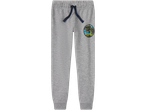 Gray kids' sweatpants featuring Jurassic World design.