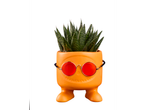 Een oranje pot in de vorm van een lachend gezicht met rode zonnebrillen en een succulent.