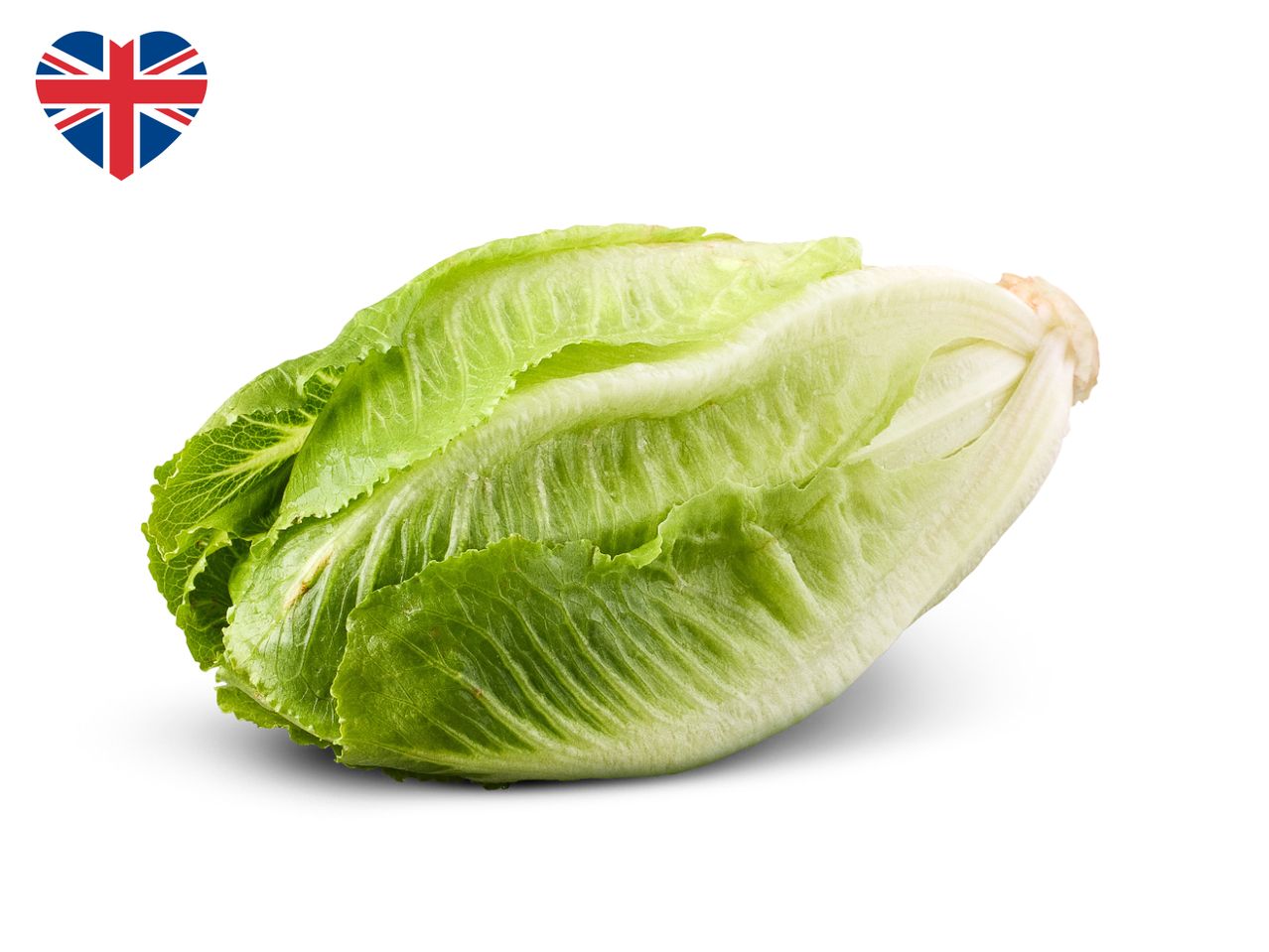A head of romaine lettuce with a heart-shaped Union Jack flag