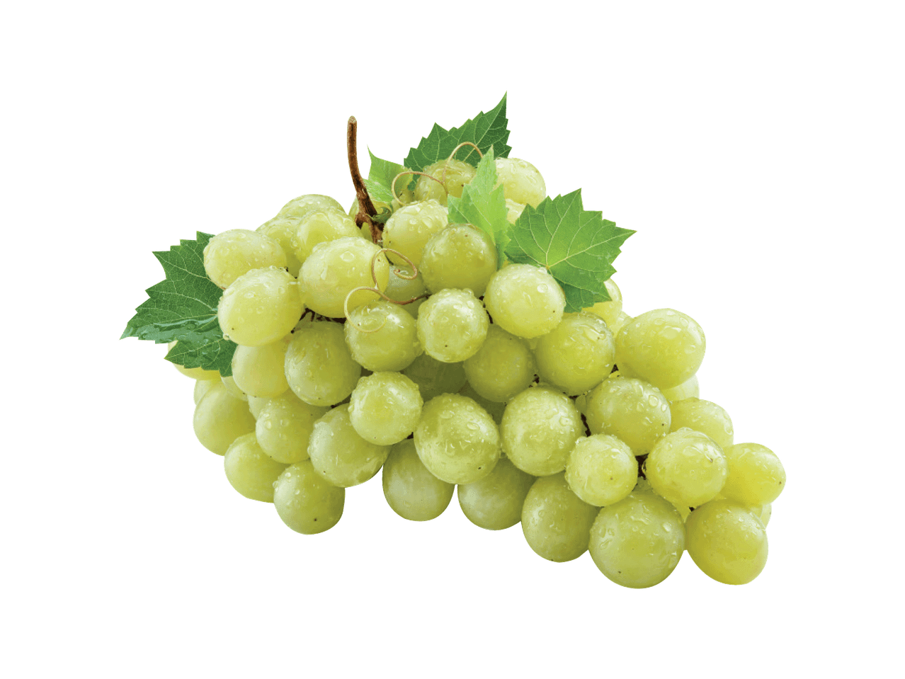 Kobar värskeid rohelisi viinamarju lehtede ja veepiiskadega mustal taustal.