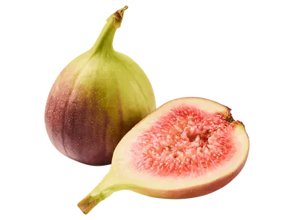 Friss füge