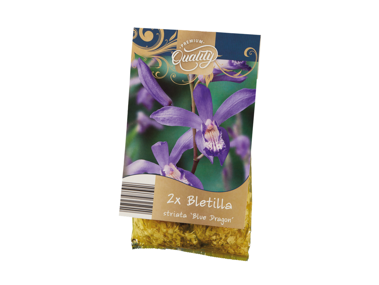 2x луковице Bletilla 'Blue Dragon'.