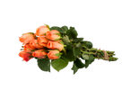 Buquê de rosas laranjas em fundo preto.
