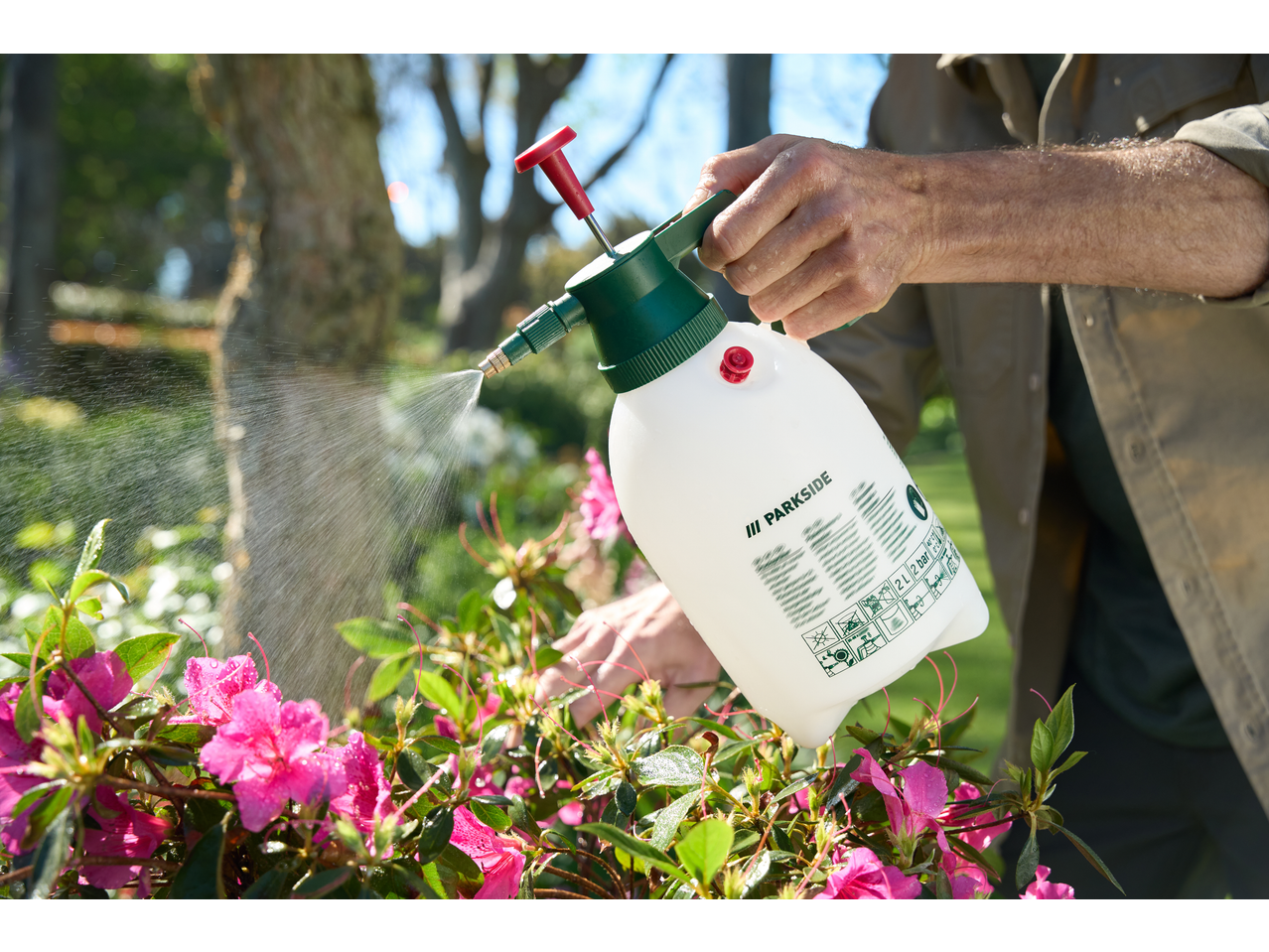 Person spraying pink flowers with a Parkside pressure sprayer.