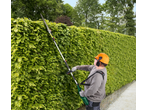 Man trimming a tall green hedge with a long-reach hedge trimmer.