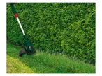 Electric grass trimmer and hedge trimmer near a hedge.