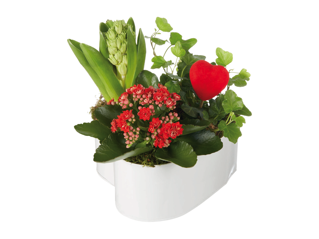 Heart-shaped plant arrangement with red flowers, green leaves, and a red heart decoration.