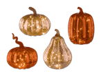 Vier beleuchtete Kürbisse aus Glas in Gold und Orange.