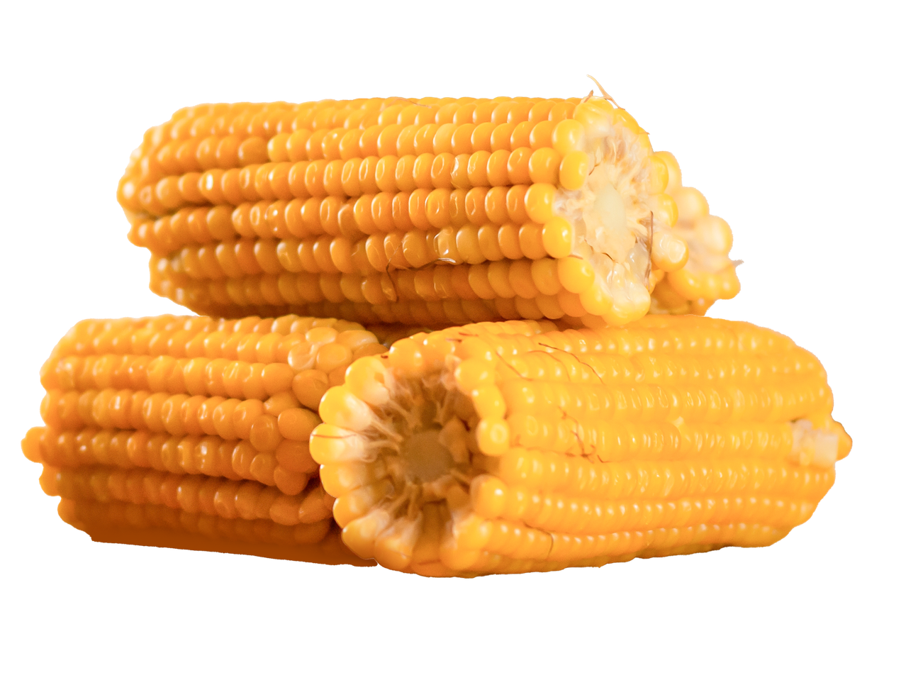 Trys iš dalies nuluptos saldžiųjų kukurūzų burbuolės, sudėtos viena ant kitos juodame fone.