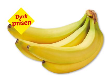 Rainforest Banan