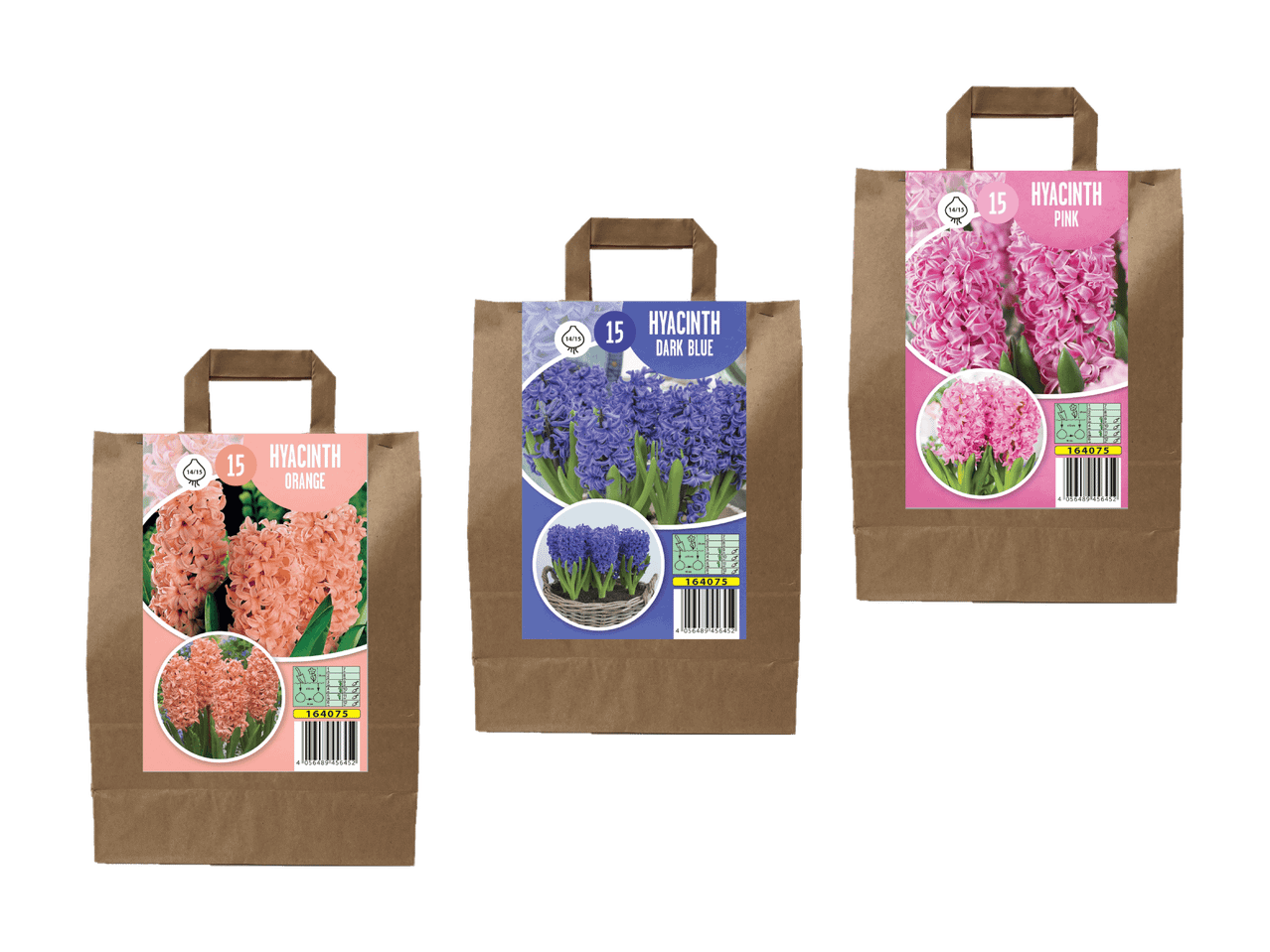Drei braune Papiertüten mit Griffen, die orangefarbene, dunkelblaue und rosa Hyazinthenzwiebeln enthalten.