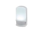 White night light with a frosted light panel