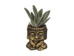 En Kalanchoe-plante i en Buddha-formet potte.
