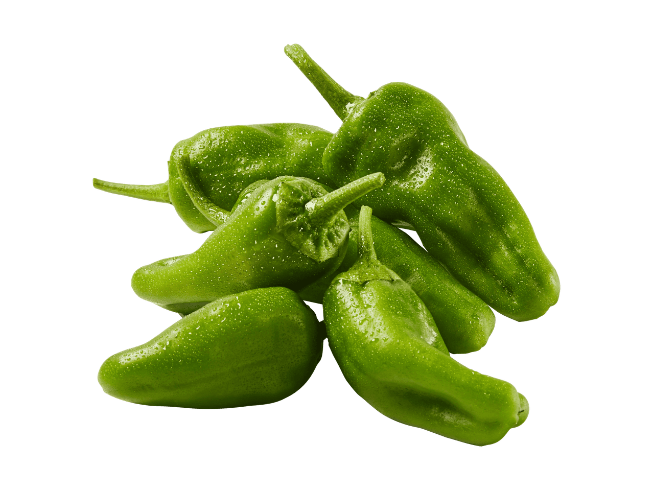 Grüne Paprika mit Wassertropfen auf schwarzem Hintergrund