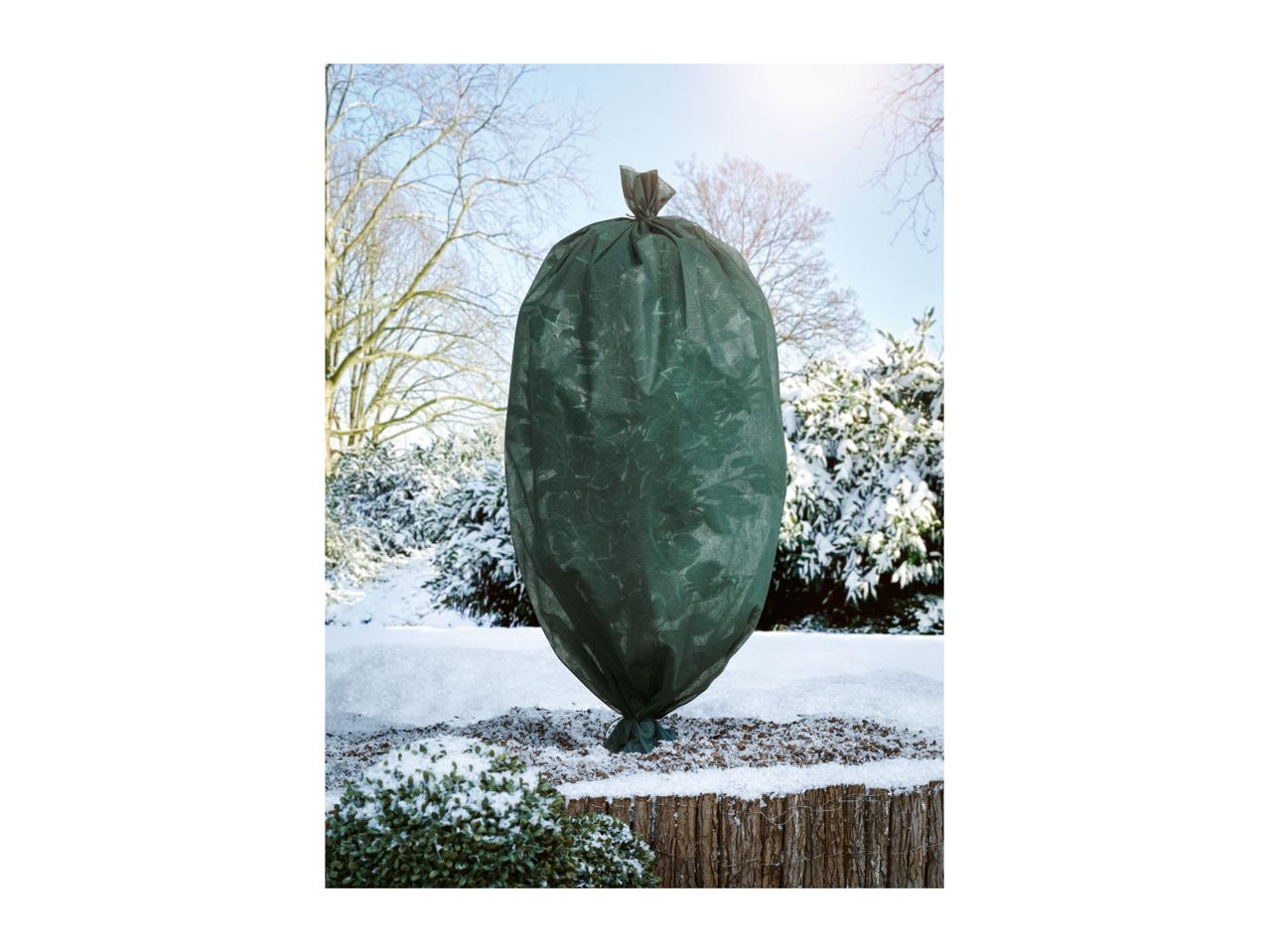 Green winter protection fleece cover on a plant in a snowy garden.