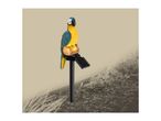 Solar-powered garden stake light in the shape of a blue and yellow parrot perched on a log.