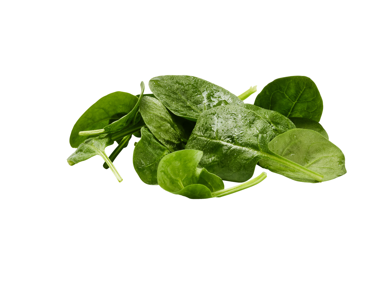 Värskeid spinatilehti.