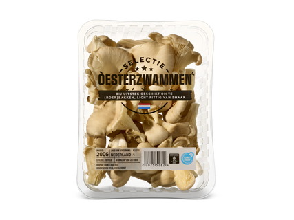 Oesterzwammen