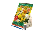 A package of Narcissus 'Mix' spring flowering bulbs from Holland Selection.