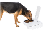 Cão comendo de um alimentador automático para cães.