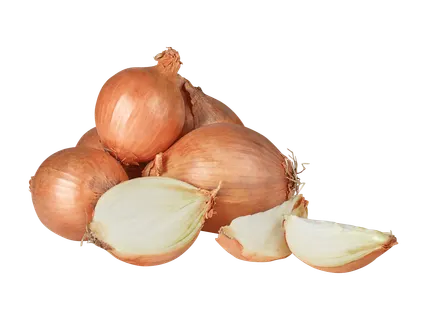 QUALITÉ SUISSE Cipolle svizzere