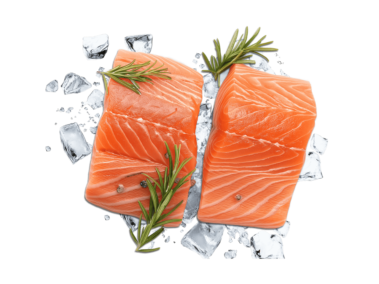 Zwei frische Lachsfilets mit Rosmarin und Pfeffer auf Eiswürfeln