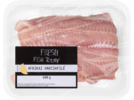 Friss afrikai harcsafilé