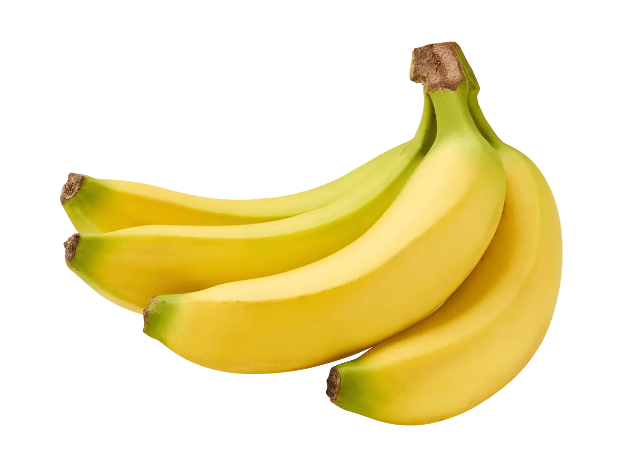 Eine Bananenstaude mit fünf gelben Bananen auf weißem Hintergrund.