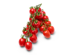 Verse rode cherrytomaatjes aan de tak.