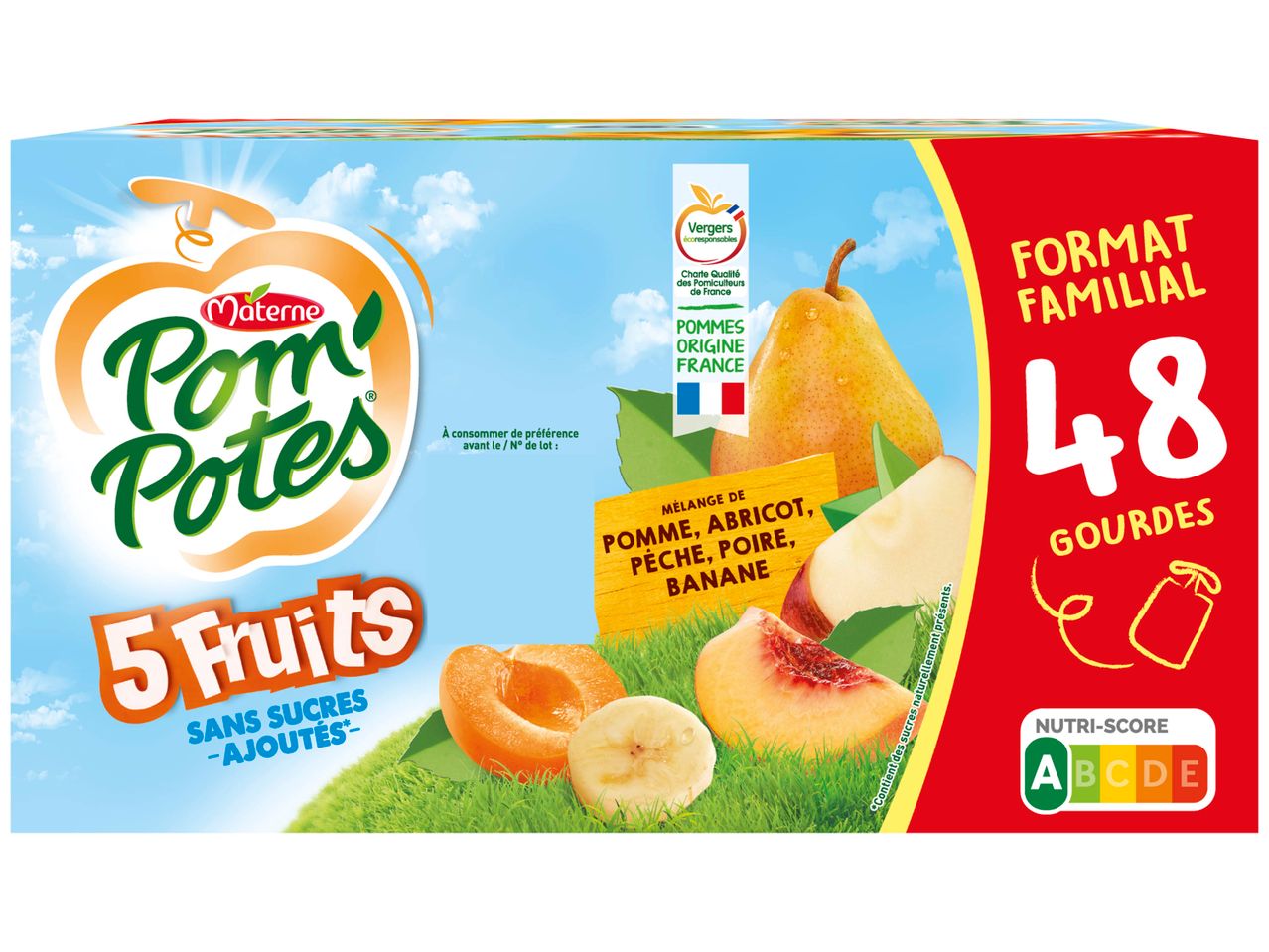 Boîte de Pom'Potes 5 fruits, jus de fruits pour enfants.