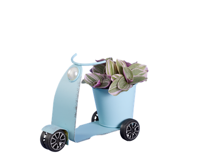 Planten in miniscooter