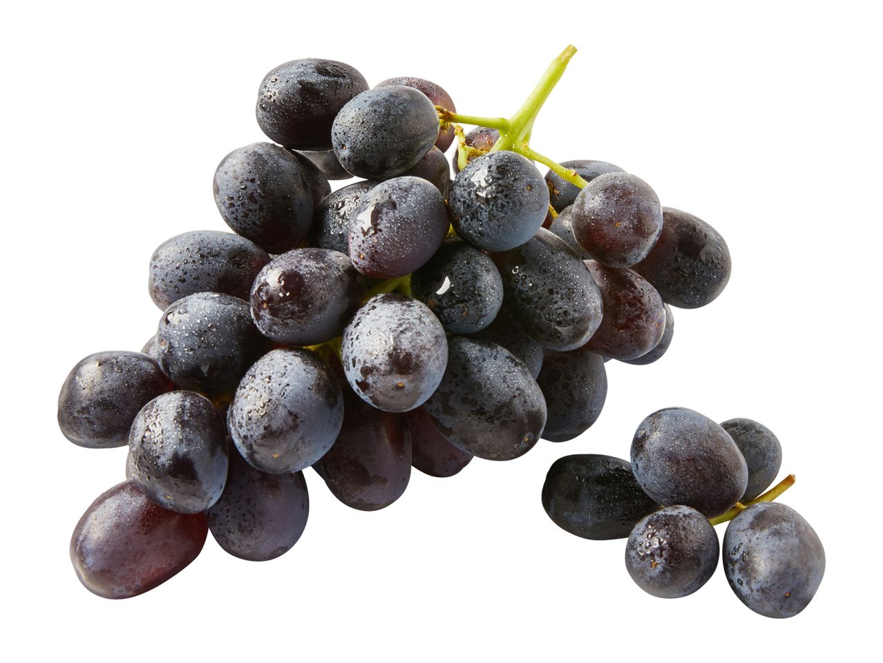 Fresh black grapes with water droplets on a white background.