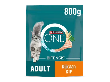 NESTLÉ PURINA ONE