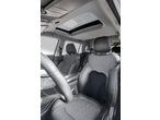 ULTIMATE SPEED® Seat Pad/Cushion Assortment: Black lumbar support cushion in a car interior.