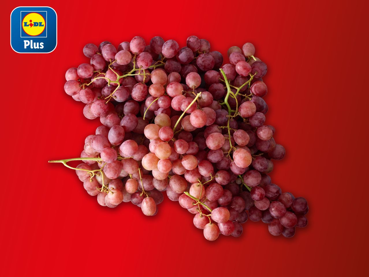 Grozdovi crvenog grožđa Lidl Plus na crvenoj pozadini.