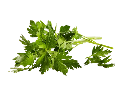 Petrezselyemzöld (Lidl Plus)