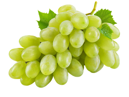 Mag nélküli fehér szőlő