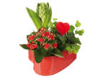 Heart-shaped red pot with a hyacinth, red kalanchoe, ivy, and a red heart decoration.