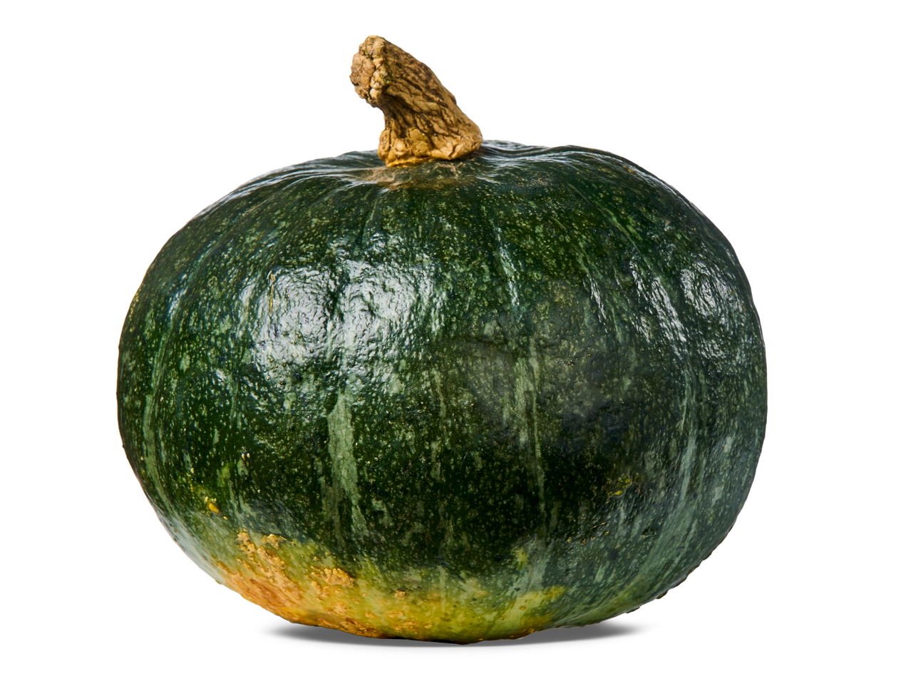 Een donkergroene pompoen met een bruine steel en een geelbruine onderkant.