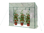 A transparent mini greenhouse with three potted tomato plants bearing ripe red tomatoes inside.