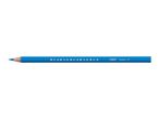 A BIC Evolution blue colored pencil with bird footprints printed on it.