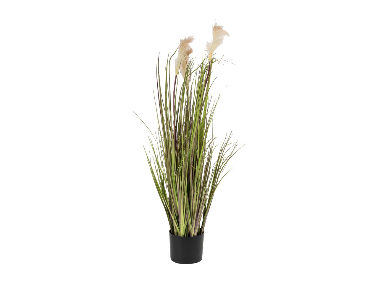 Artificial pampas grass plant in a black pot.