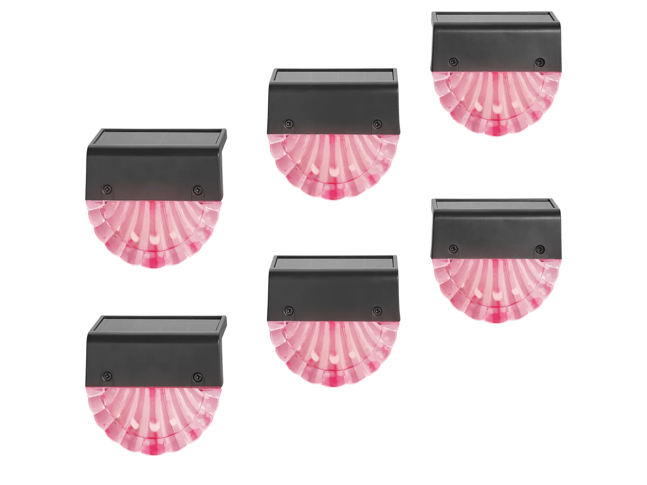 Livarno LED Solar Lights with pink shell-shaped diffusers, set of six on black background.