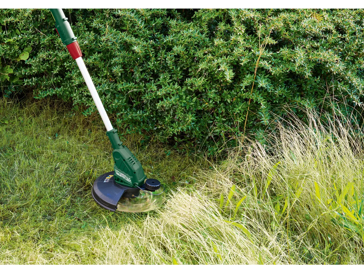 Cordless grass trimmer cutting tall grass next to a green hedge.