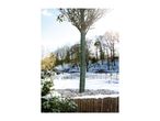 A tree trunk wrapped in protective green winter fleece in a snowy garden.