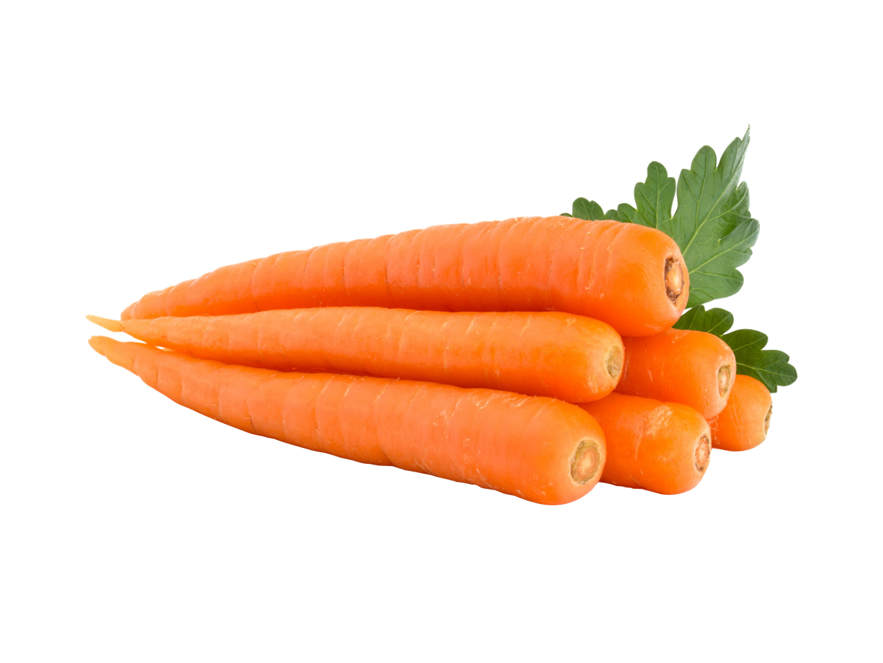 Sveže šargarepe sa zelenim listovima peršuna