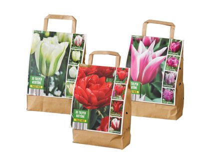 Tulpenmix