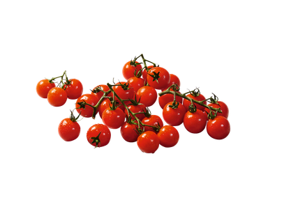 Cherry paradajky strapcové