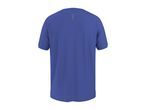 Back view of a men's short-sleeved blue sports t-shirt with reflective stripes on the neck.